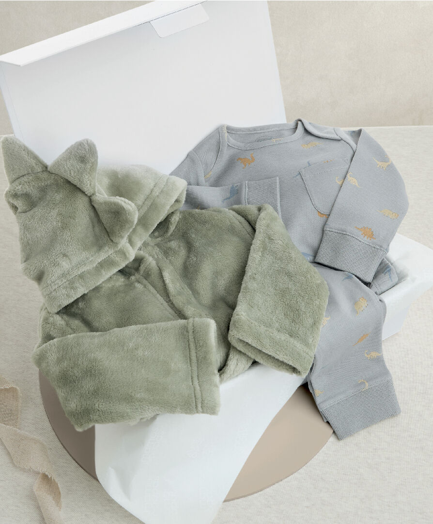 Bedtime Dinosaur Gift - 2 Piece Set